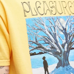 PLEASURES - SQUASH RIVER PIGMENT DYE T SHIRT