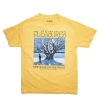 PLEASURES - SQUASH RIVER PIGMENT DYE T SHIRT
