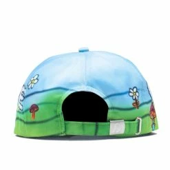 RIPNDIP LETS MAKE LOVE 6 PANEL ACCESSORIES