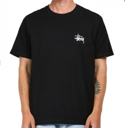 Stüssy STUSSY BASIC TEE BLACK