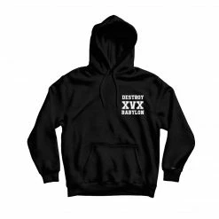 DESTROY BABYLON VEGAN SXE SAVED MY LIFE HOODIE BLACK